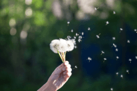 Mindfulness w organizacji – komunikacja w miejscu pracy oparta na współczuciu